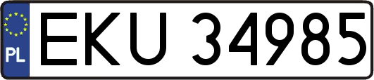 EKU34985