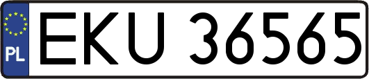 EKU36565