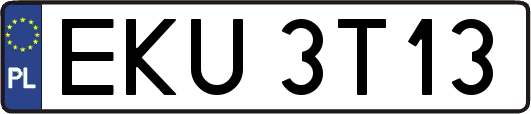 EKU3T13
