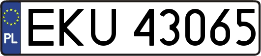 EKU43065