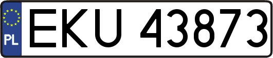 EKU43873