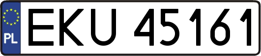 EKU45161
