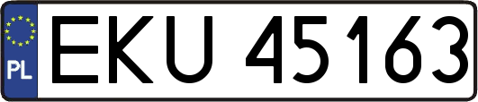 EKU45163