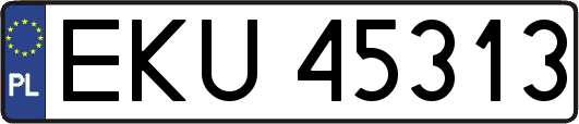 EKU45313