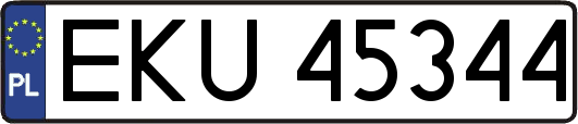 EKU45344