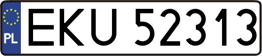 EKU52313