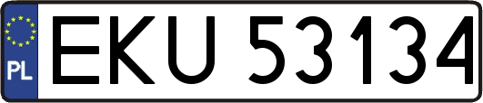 EKU53134