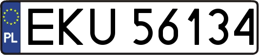 EKU56134