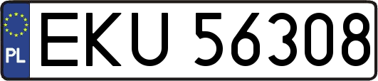 EKU56308