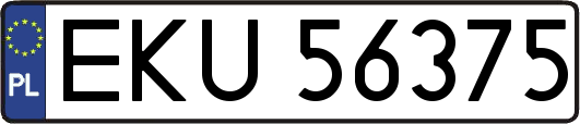 EKU56375