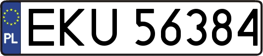 EKU56384