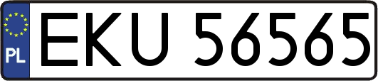 EKU56565