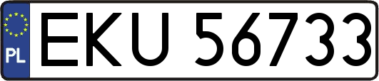 EKU56733