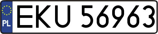 EKU56963