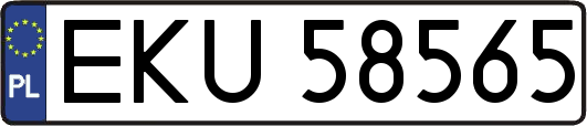 EKU58565