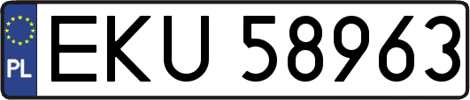 EKU58963