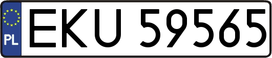 EKU59565