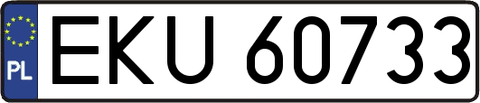 EKU60733