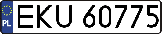 EKU60775