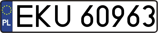 EKU60963