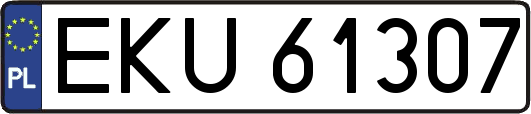 EKU61307