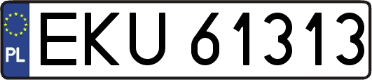 EKU61313