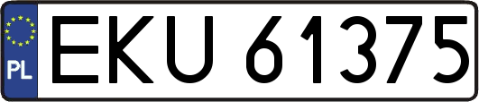 EKU61375