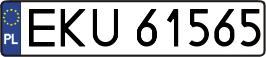 EKU61565