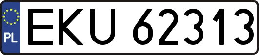 EKU62313