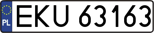 EKU63163