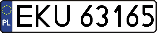 EKU63165