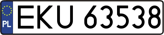 EKU63538