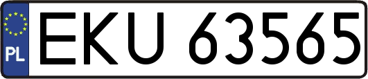 EKU63565