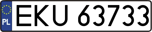 EKU63733