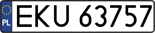 EKU63757