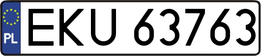 EKU63763