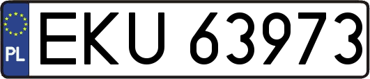 EKU63973