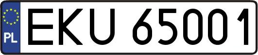 EKU65001