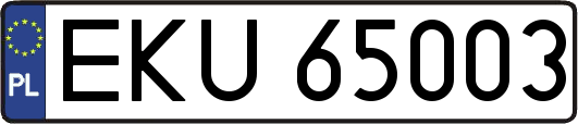 EKU65003