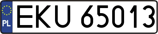 EKU65013
