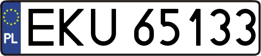 EKU65133