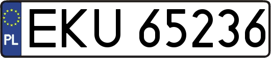 EKU65236