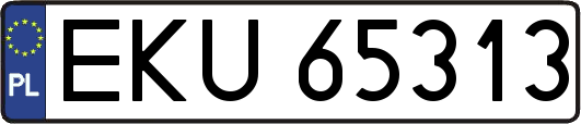 EKU65313