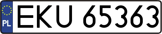 EKU65363