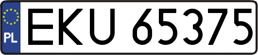 EKU65375