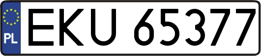 EKU65377