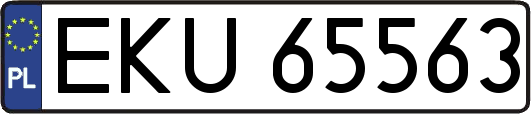 EKU65563