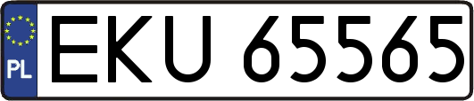 EKU65565