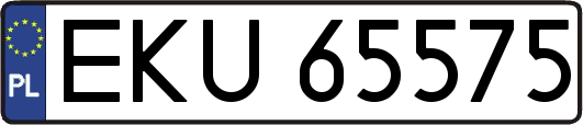 EKU65575