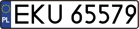 EKU65579